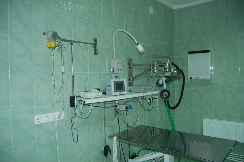 Spital veterinar K2